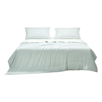 Quick-Dry Tussah Silk Comforter | Natural Cooling & Moisture-Wicking for Year-Round Comfort